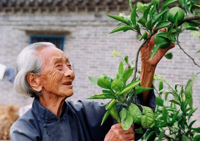 長(zhǎng)壽的人有哪些特點(diǎn)？年紀(jì)大了如何養(yǎng)生？