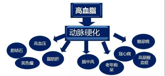 高血脂一般會(huì)產(chǎn)生什么樣的危害呢？高血脂有什么危害？